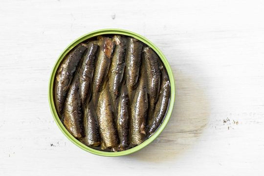 lata de sardinas en conserva sobre fondo blanco
